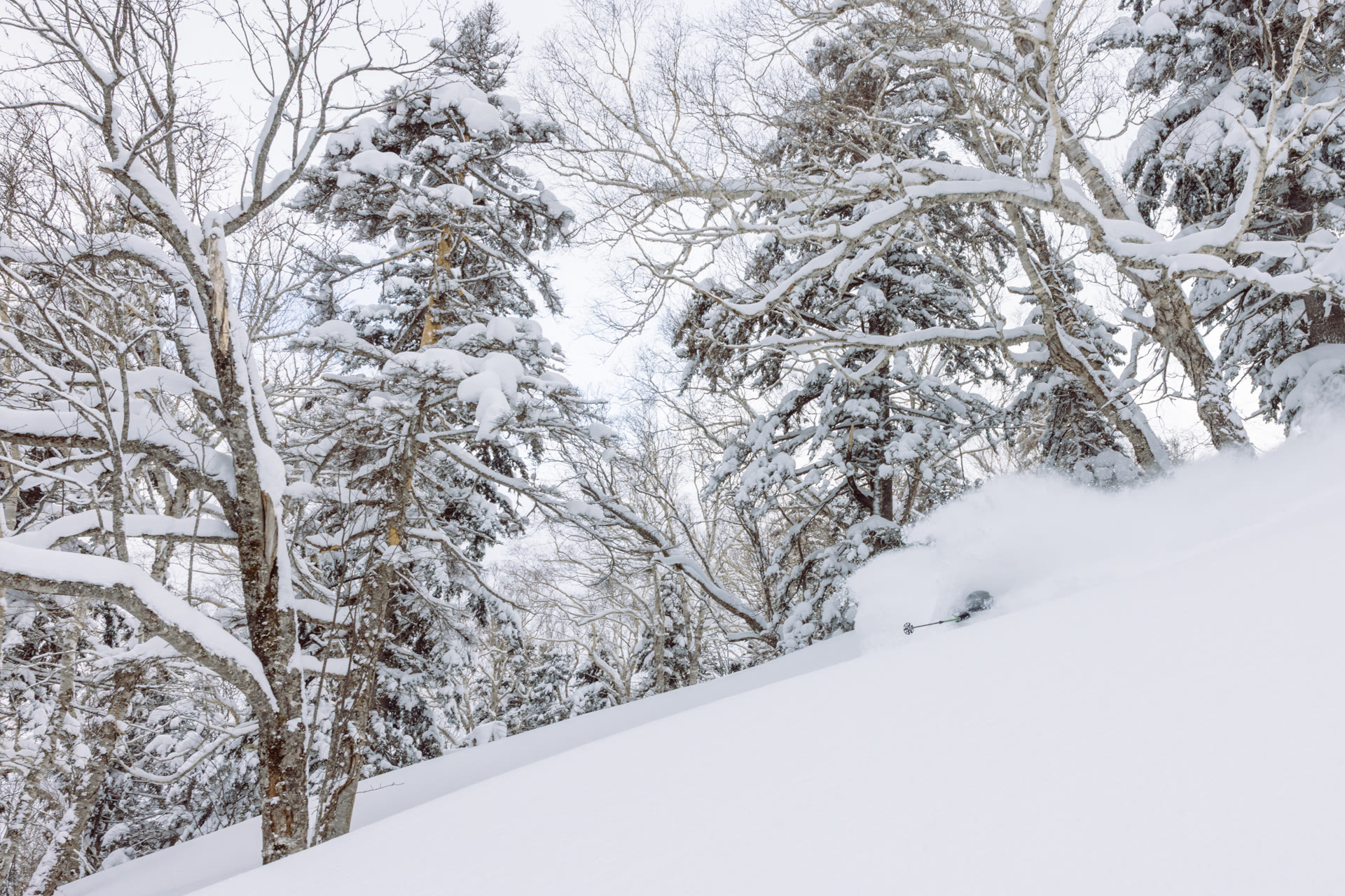額装写真 No.16 skier: Shun Hirayama / photo: Yuta Nakamura